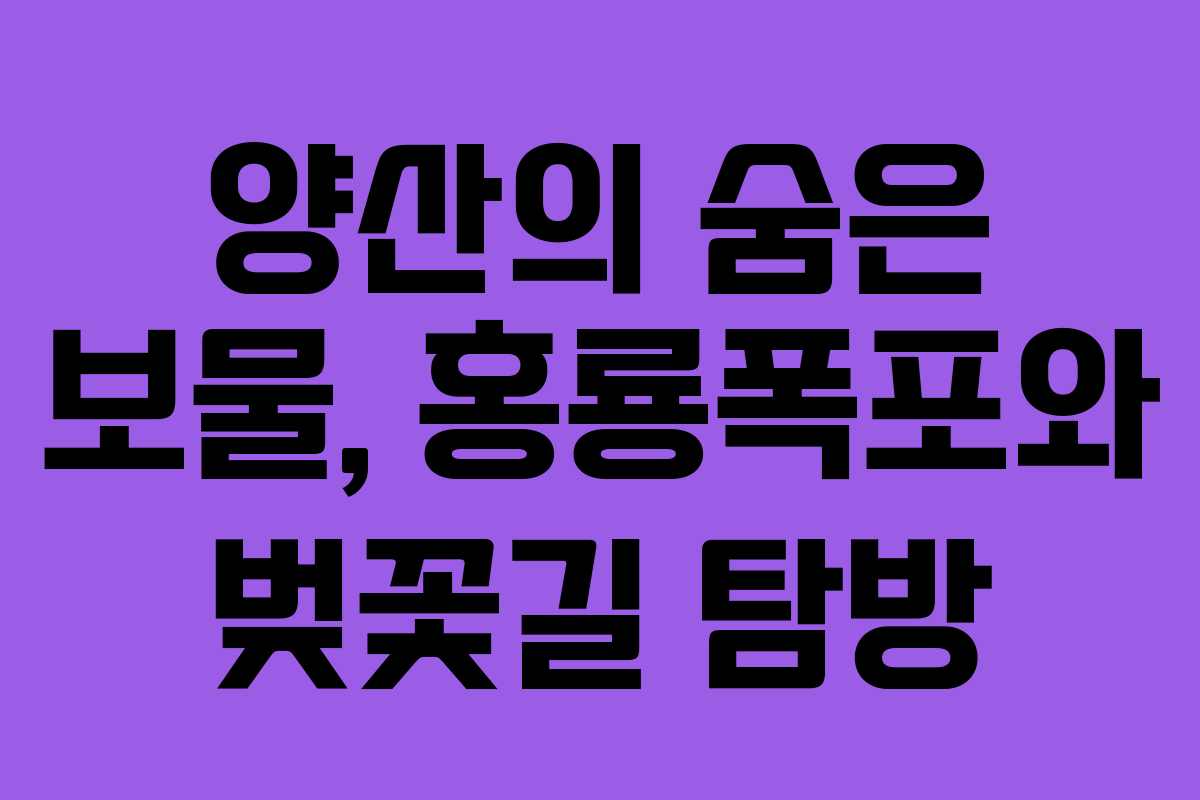 양산의 숨은 보물, 홍룡폭포와 벚꽃길 탐방