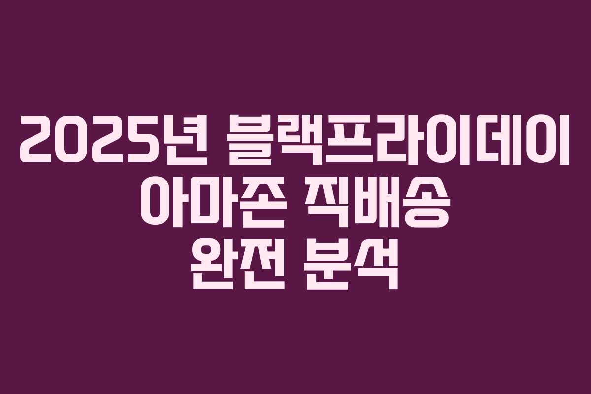 2025년 블랙프라이데이 아마존 직배송 완전 분석