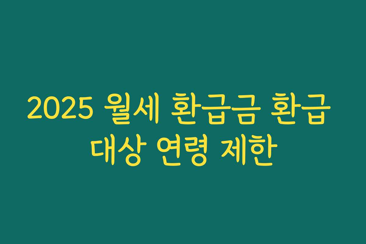 2025 월세 환급금 환급 대상 연령 제한