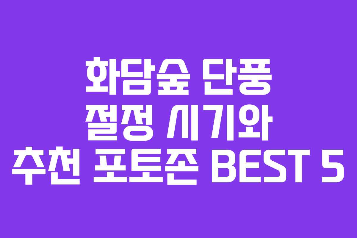 화담숲 단풍 절정 시기와 추천 포토존 BEST 5 화담숲 단풍 절정 시기와 추천 포토존 BEST 5