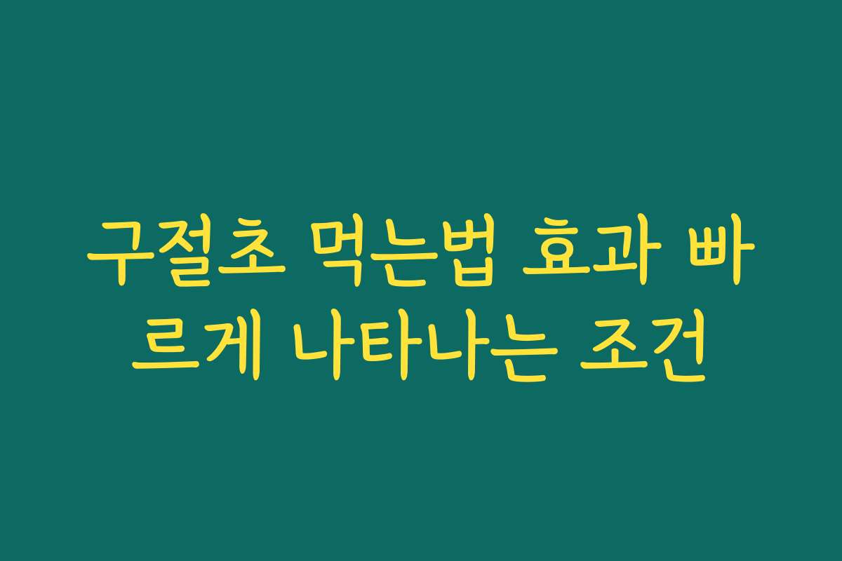 구절초 먹는법 효과 빠르게 나타나는 조건