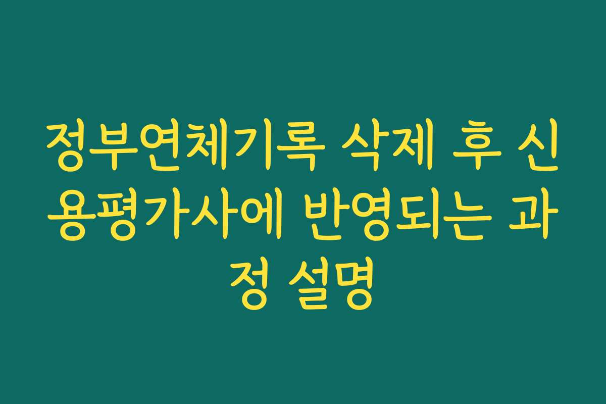 정부연체기록 삭제 후 신용평가사에 반영되는 과정 설명