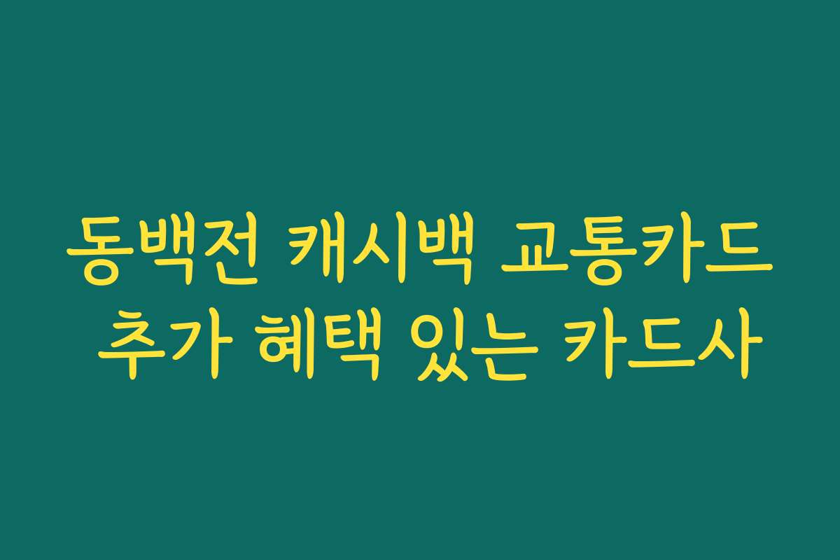 동백전 캐시백 교통카드 추가 혜택 있는 카드사
