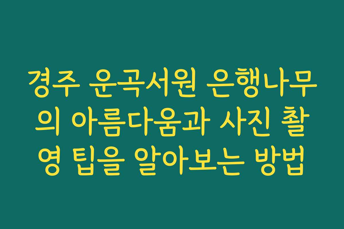 경주 운곡서원 은행나무의 아름다움과 사진 촬영 팁을 알아보는 방법