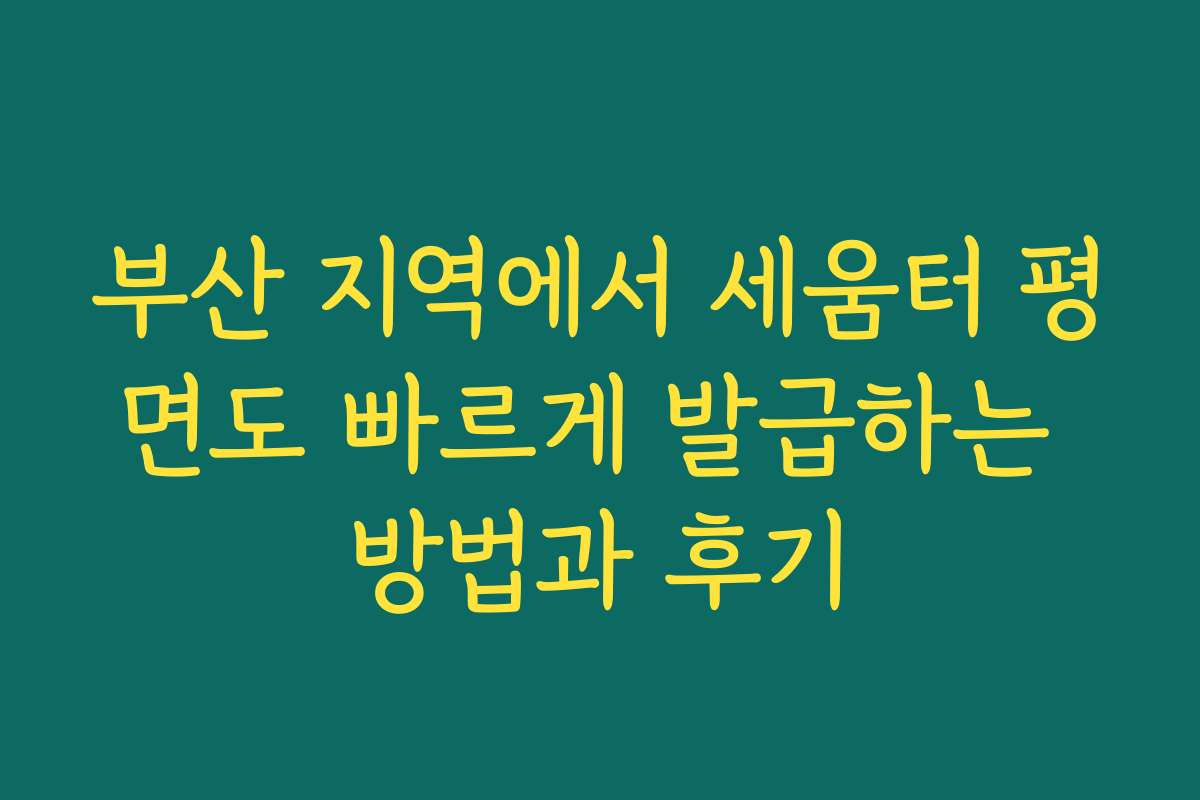 부산 지역에서 세움터 평면도 빠르게 발급하는 방법과 후기