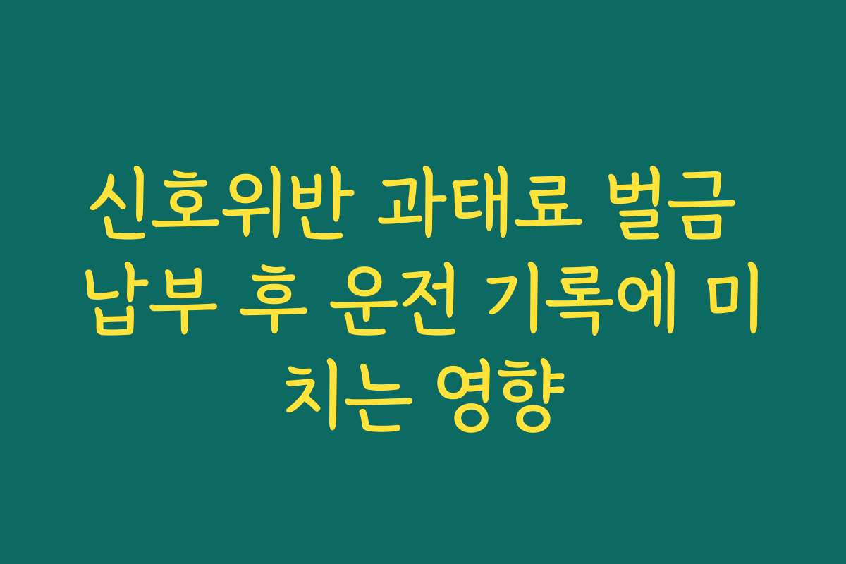 신호위반 과태료 벌금 납부 후 운전 기록에 미치는 영향 신호위반 과태료 벌금 납부 후 운전 기록에 미치는 영향