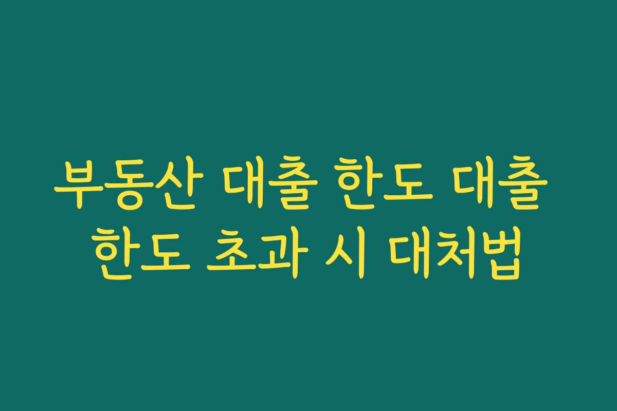 부동산 대출 한도 대출 한도 초과 시 대처법