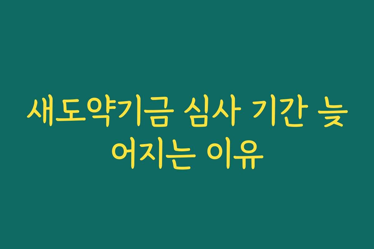 새도약기금 심사 기간 늦어지는 이유