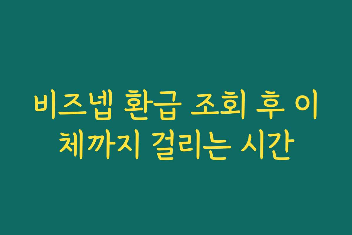 비즈넵 환급 조회 후 이체까지 걸리는 시간