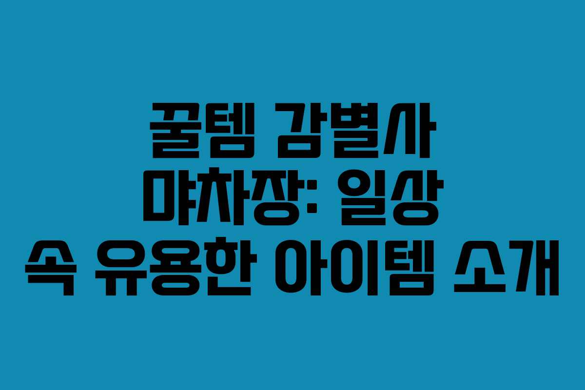 꿀템 감별사 먀차장: 일상 속 유용한 아이템 소개