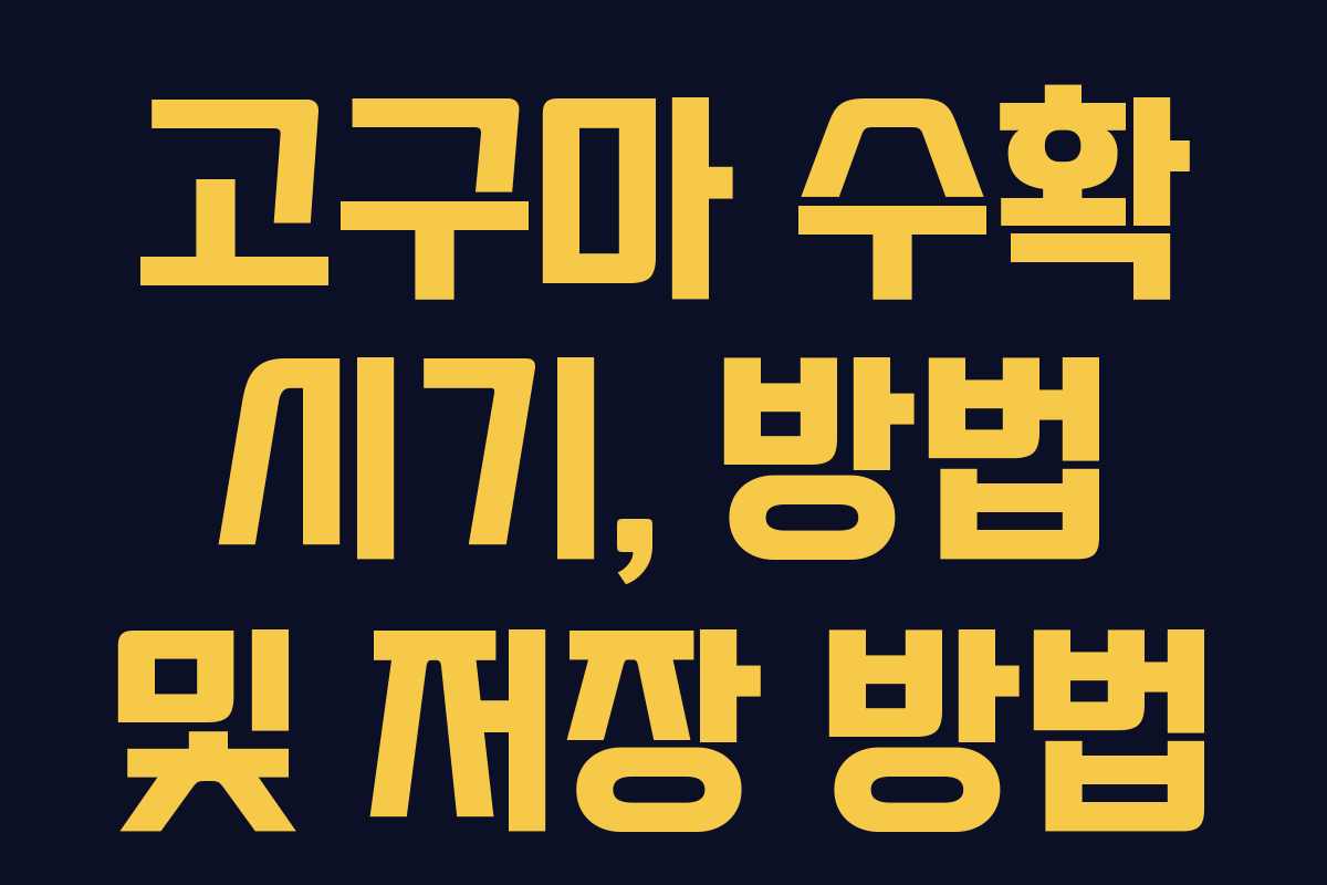 고구마 수확 시기, 방법 및 저장 방법