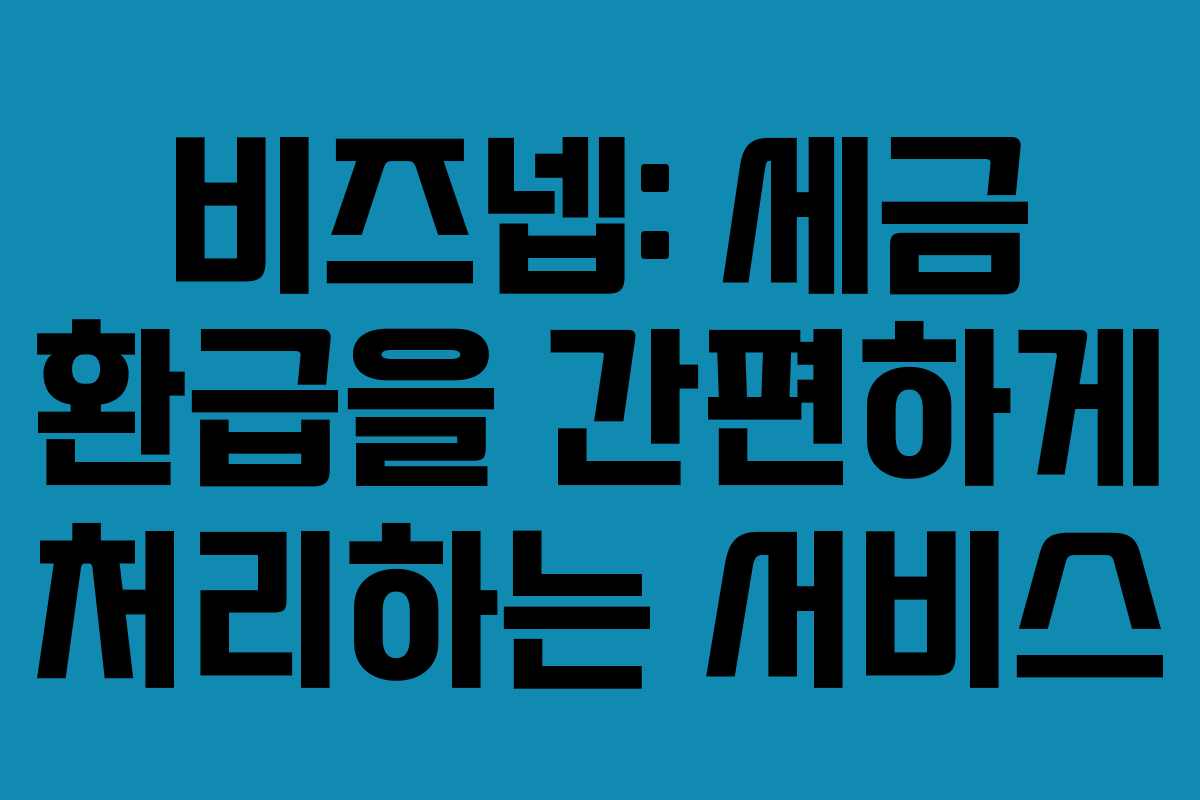 비즈넵: 세금 환급을 간편하게 처리하는 서비스