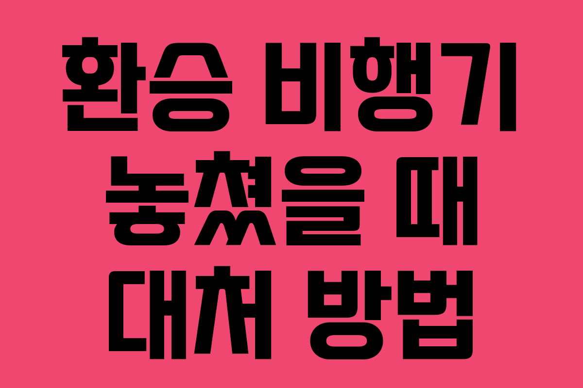 환승 비행기 놓쳤을 때 대처 방법