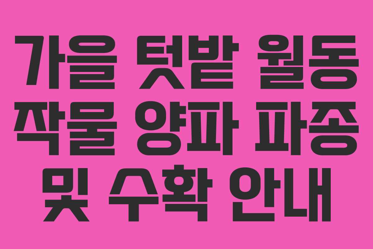 가을 텃밭 월동 작물 양파 파종 및 수확 안내