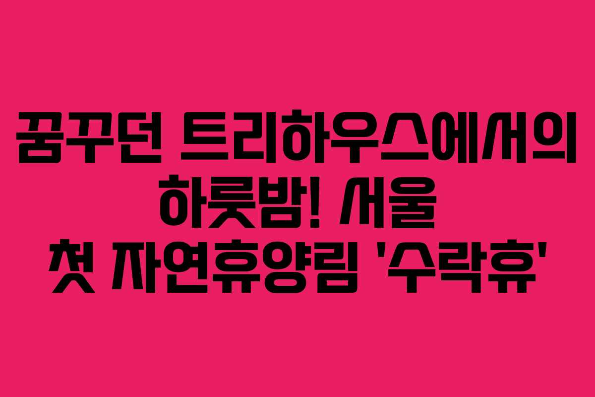 꿈꾸던 트리하우스에서의 하룻밤! 서울 첫 자연휴양림 &lsquo;수락휴&rsquo;
