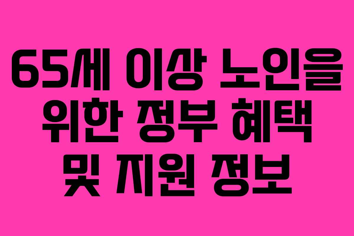 65세 이상 노인을 위한 정부 혜택 및 지원 정보