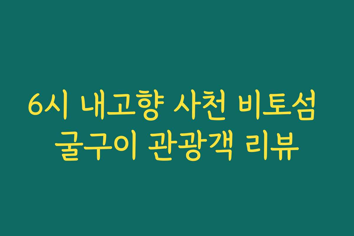 6시 내고향 사천 비토섬 굴구이 관광객 리뷰 6시 내고향 사천 비토섬 굴구이 관광객 리뷰