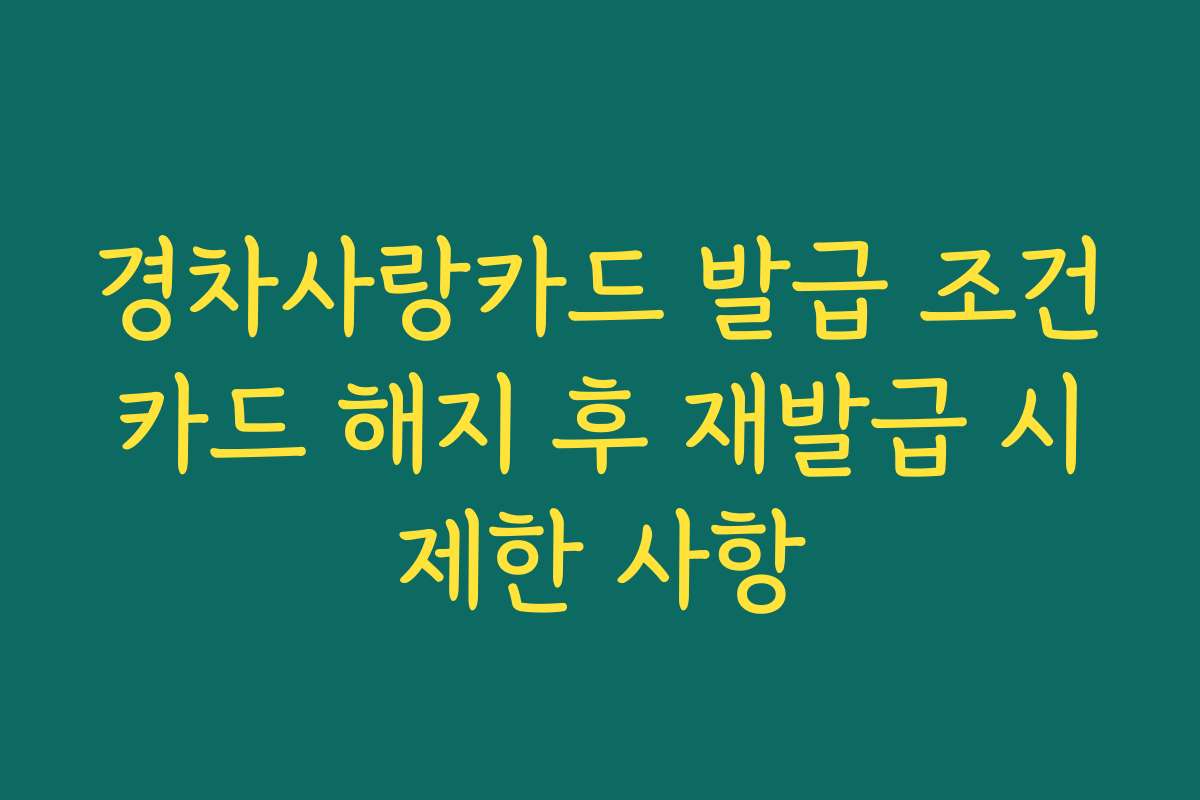 경차사랑카드 발급 조건 카드 해지 후 재발급 시 제한 사항 경차사랑카드 발급 조건 카드 해지 후 재발급 시 제한 사항