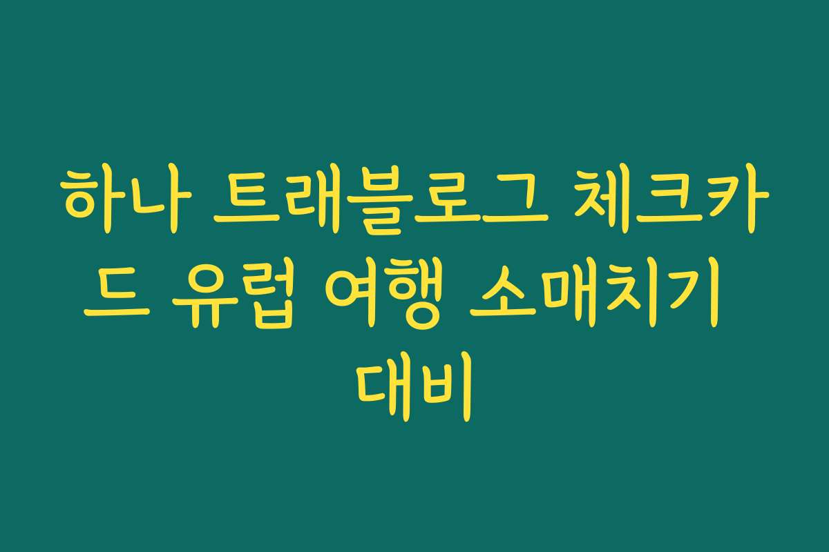 하나 트래블로그 체크카드 유럽 여행 소매치기 대비 하나 트래블로그 체크카드 유럽 여행 소매치기 대비