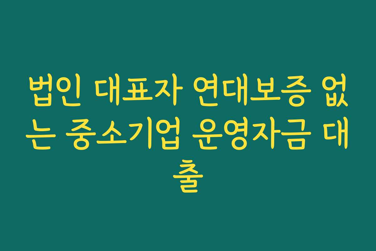 법인 대표자 연대보증 없는 중소기업 운영자금 대출