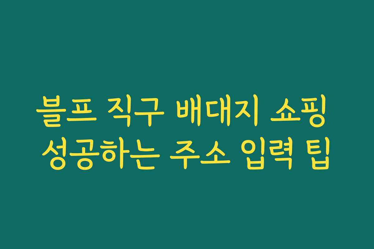 블프 직구 배대지 쇼핑 성공하는 주소 입력 팁 블프 직구 배대지 쇼핑 성공하는 주소 입력 팁