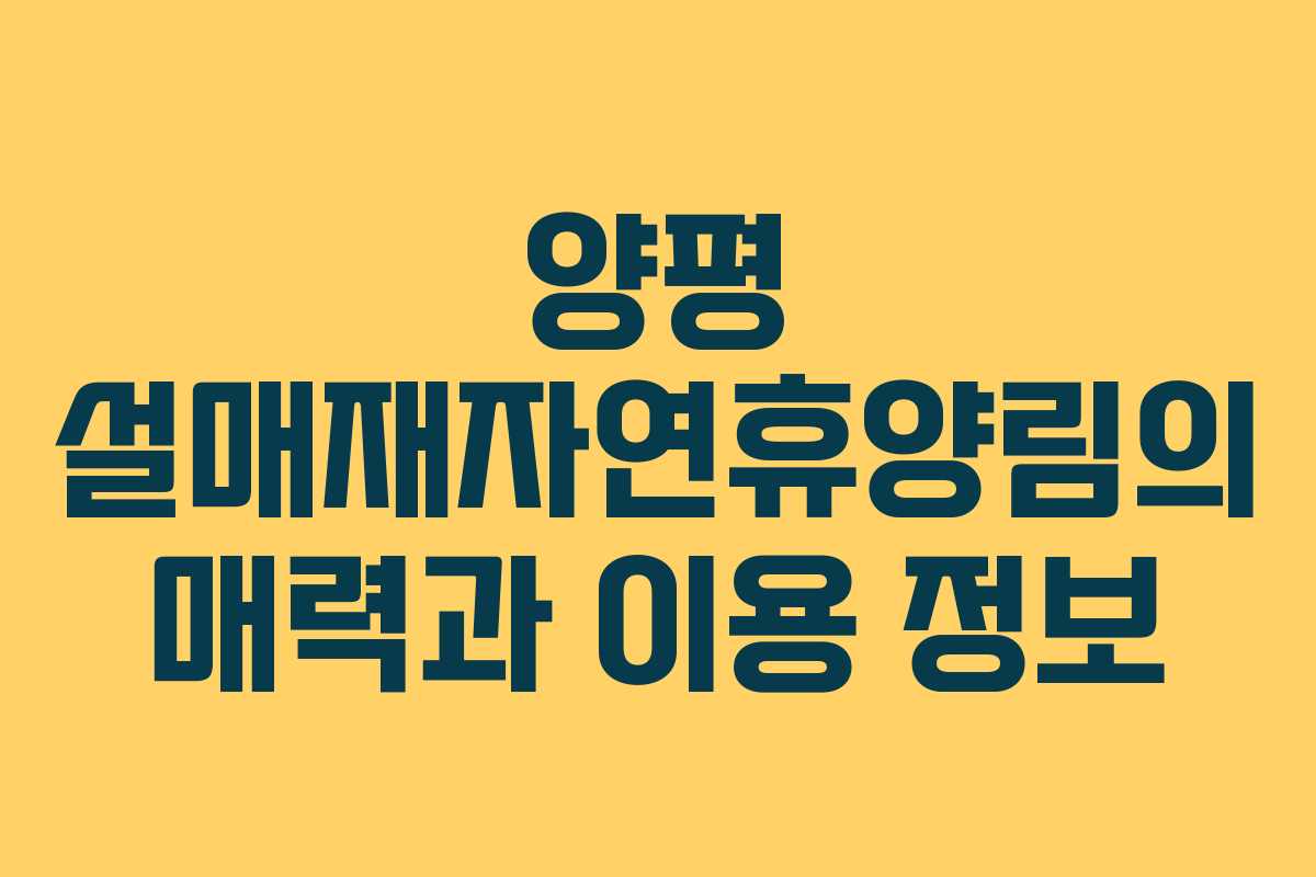 양평 설매재자연휴양림의 매력과 이용 정보