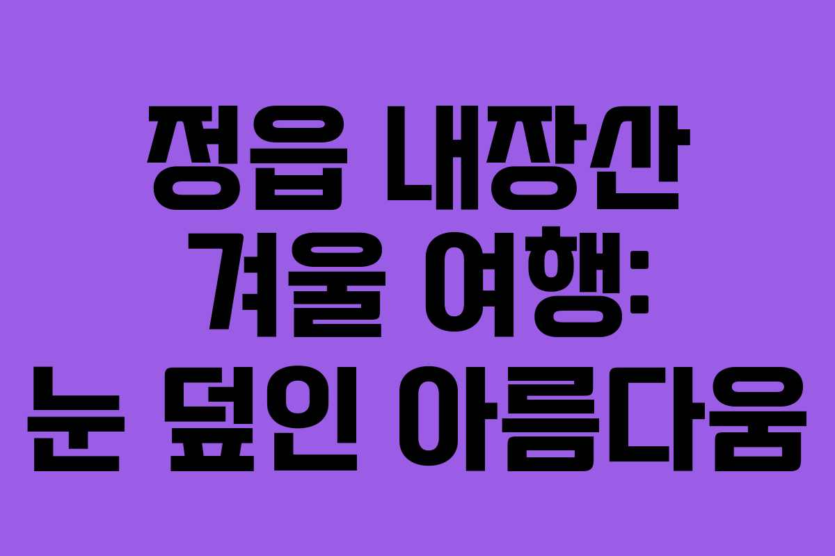 정읍 내장산 겨울 여행: 눈 덮인 아름다움 정읍 내장산 겨울 여행: 눈 덮인 아름다움