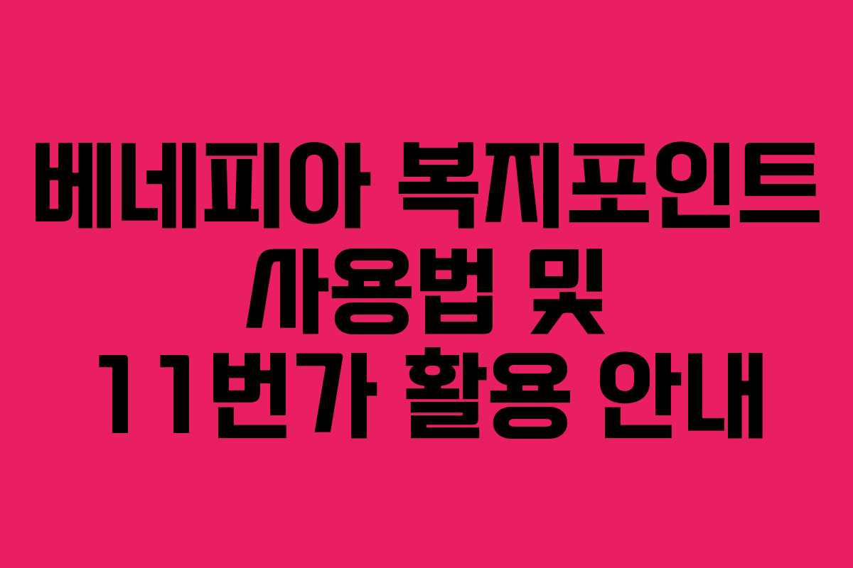 베네피아 복지포인트 사용법 및 11번가 활용 안내 베네피아 복지포인트 사용법 및 11번가 활용 안내