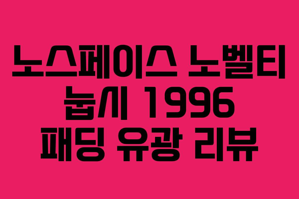 노스페이스 노벨티 눕시 1996 패딩 유광 리뷰 노스페이스 노벨티 눕시 1996 패딩 유광 리뷰