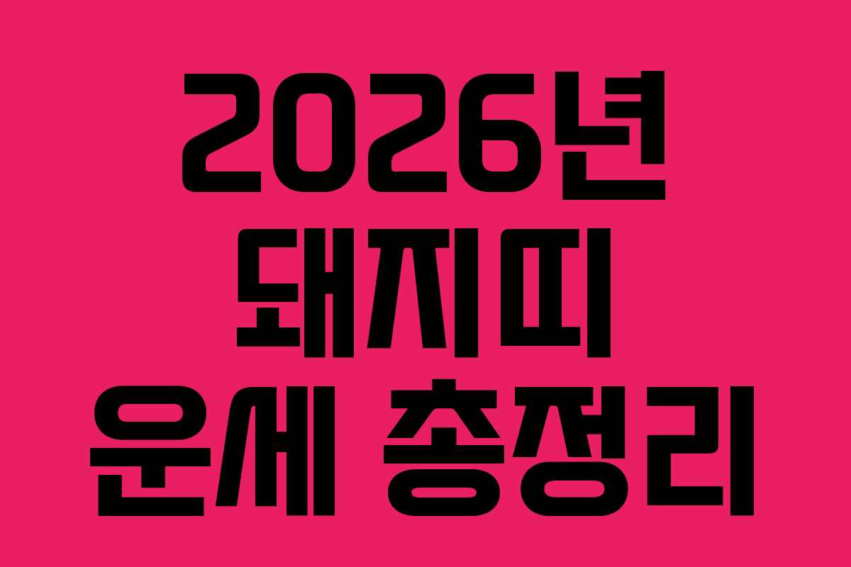 2026년 돼지띠 운세 총정리 2026년 돼지띠 운세 총정리