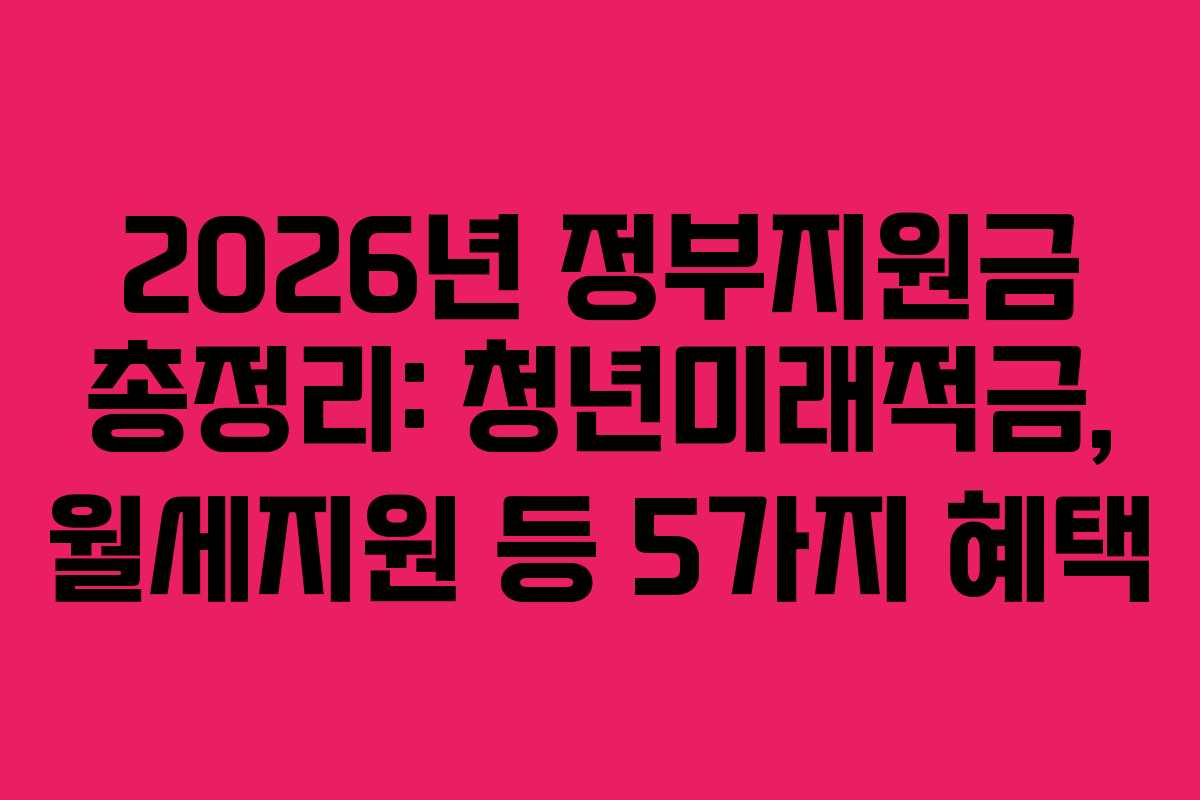 2026년 정부지원금 총정리: 청년미래적금, 월세지원 등 5가지 혜택