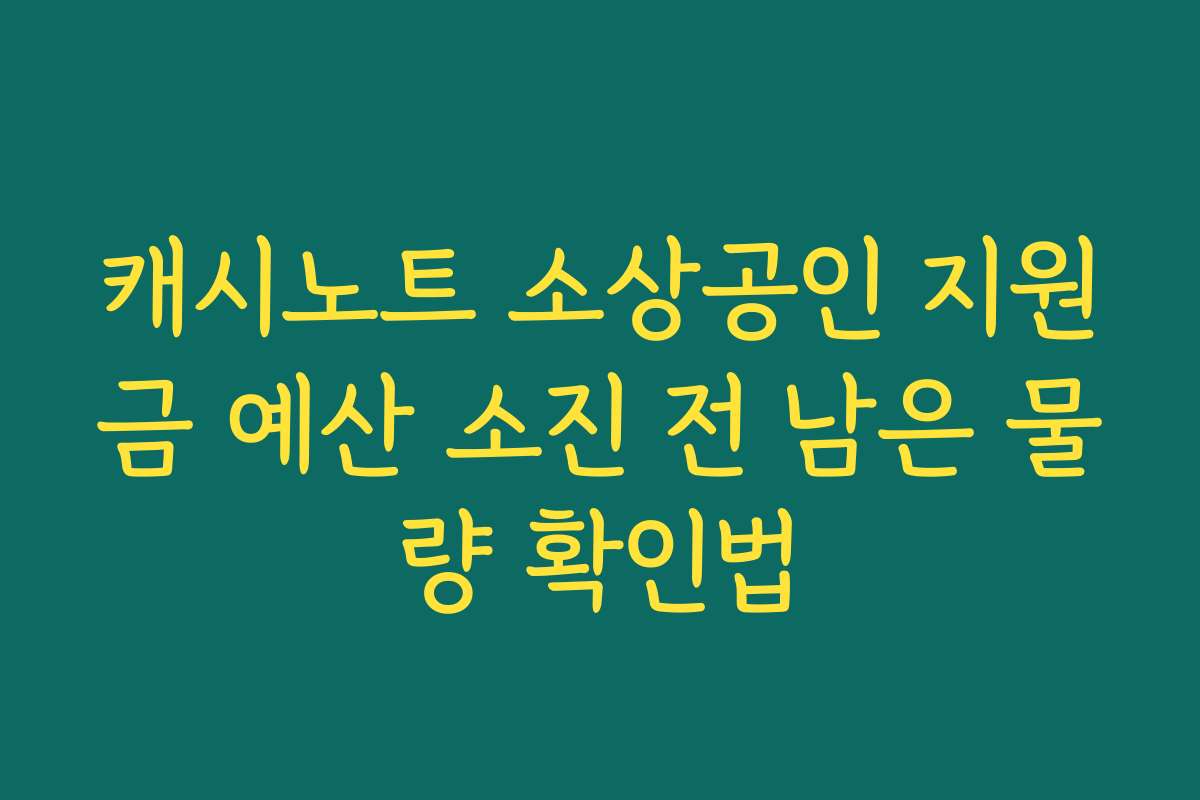 캐시노트 소상공인 지원금 예산 소진 전 남은 물량 확인법
