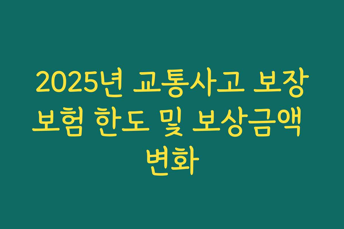 2025년 교통사고 보장보험 한도 및 보상금액 변화 2025년 교통사고 보장보험 한도 및 보상금액 변화