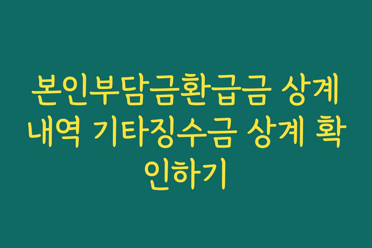 본인부담금환급금 상계내역 기타징수금 상계 확인하기 본인부담금환급금 상계내역 기타징수금 상계 확인하기
