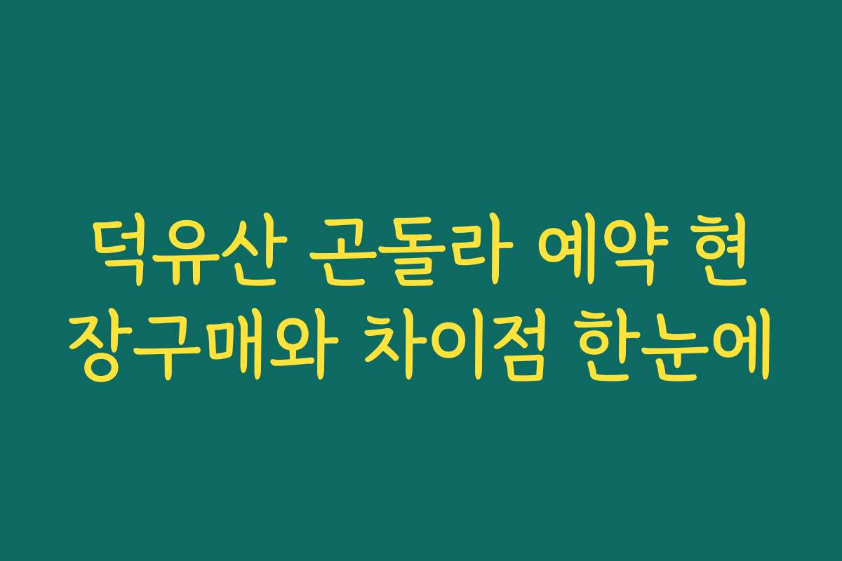 덕유산 곤돌라 예약 현장구매와 차이점 한눈에