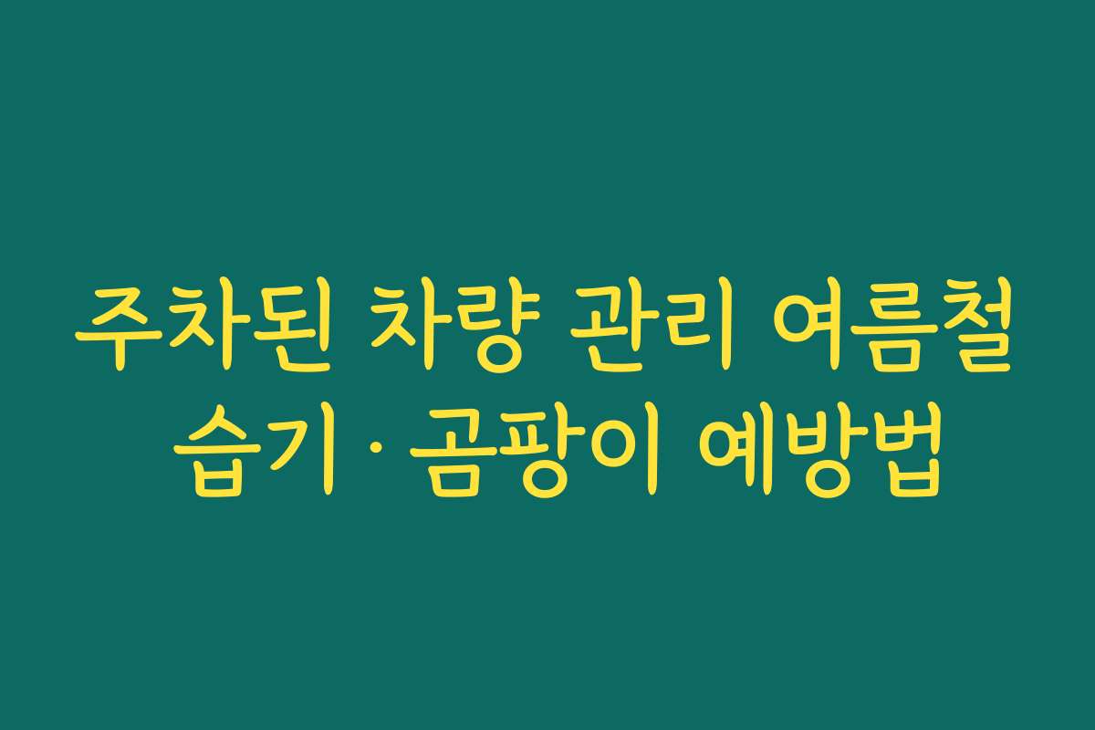 주차된 차량 관리 여름철 습기·곰팡이 예방법 주차된 차량 관리 여름철 습기·곰팡이 예방법