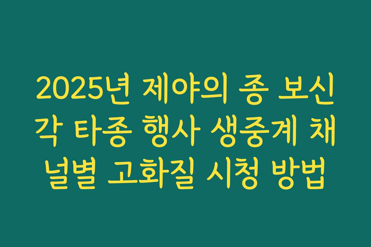2025년 제야의 종 보신각 타종 행사 생중계 채널별 고화질 시청 방법 2025년 제야의 종 보신각 타종 행사 생중계 채널별 고화질 시청 방법