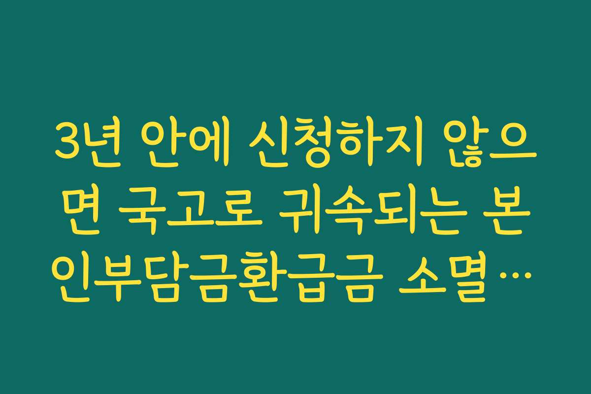 3년 안에 신청하지 않으면 국고로 귀속되는 본인부담금환급금 소멸시효 3년 안에 신청하지 않으면 국고로 귀속되는 본인부담금환급금 소멸시효