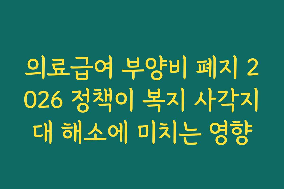 의료급여 부양비 폐지 2026 정책이 복지 사각지대 해소에 미치는 영향