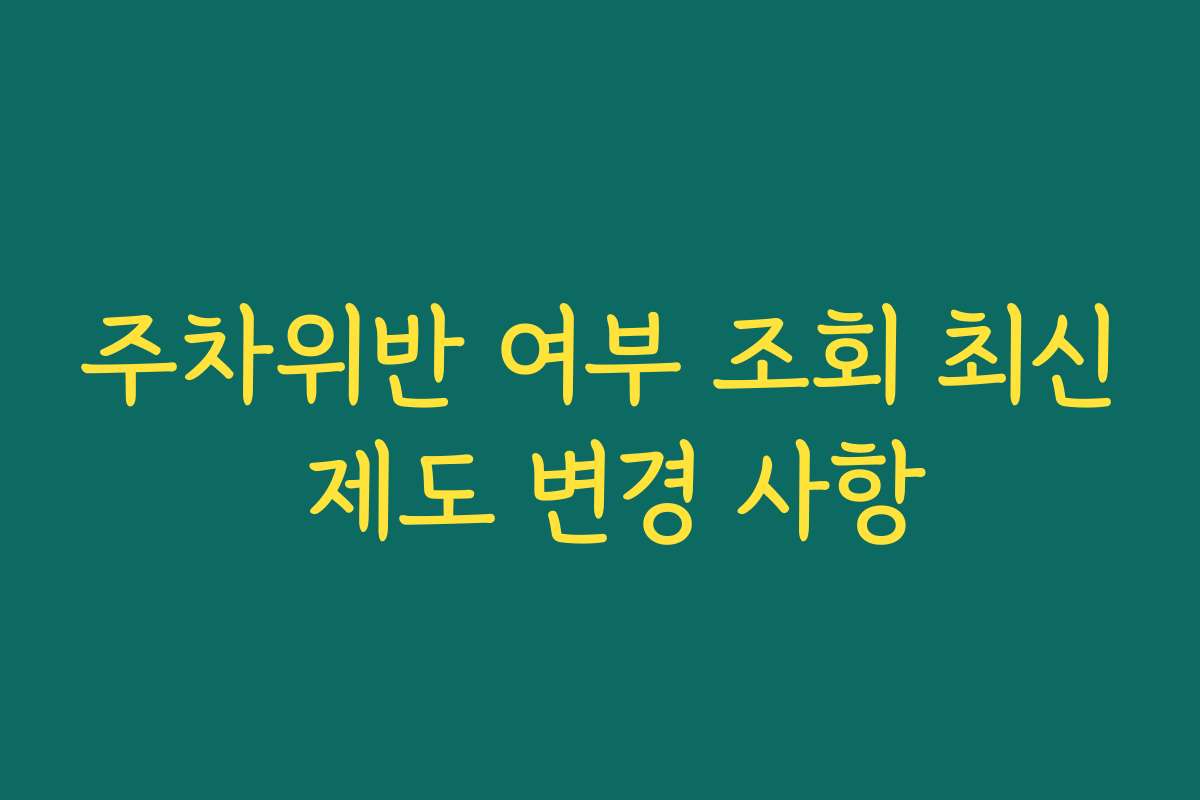 주차위반 여부 조회 최신 제도 변경 사항