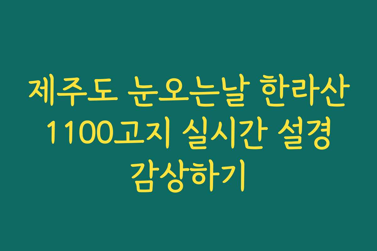 제주도 눈오는날 한라산 1100고지 실시간 설경 감상하기