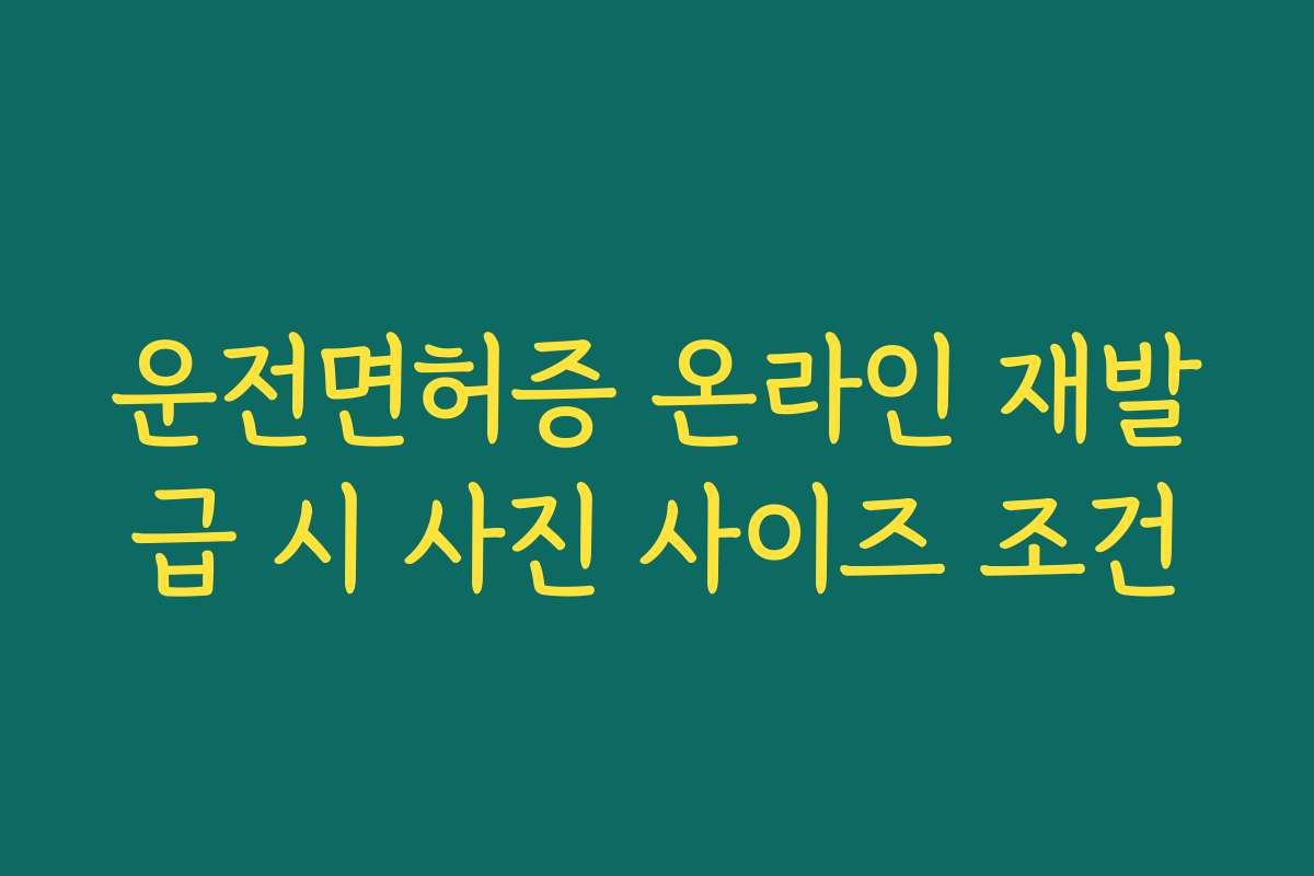 운전면허증 온라인 재발급 시 사진 사이즈 조건 운전면허증 온라인 재발급 시 사진 사이즈 조건