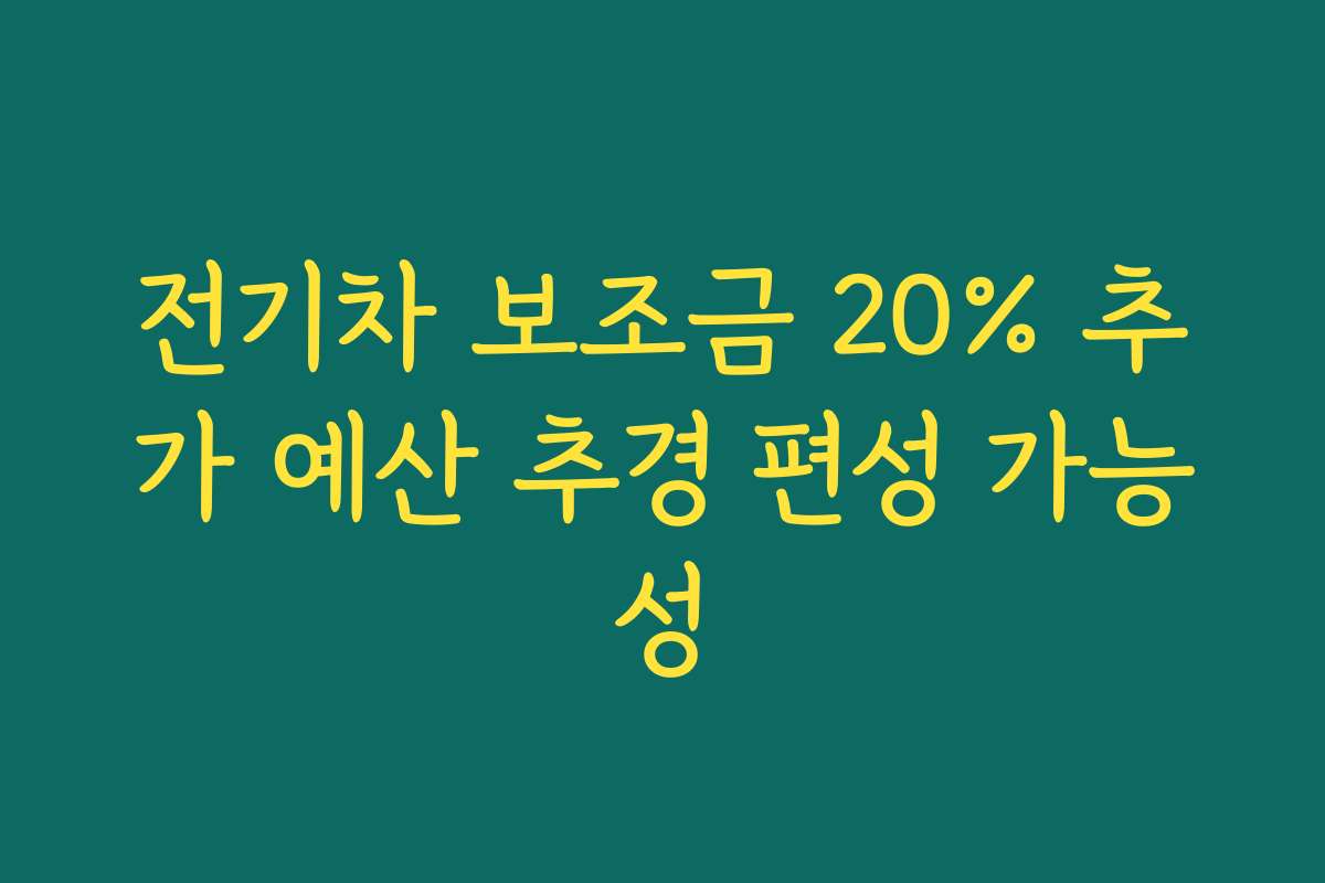 전기차 보조금 20% 추가 예산 추경 편성 가능성 전기차 보조금 20% 추가 예산 추경 편성 가능성