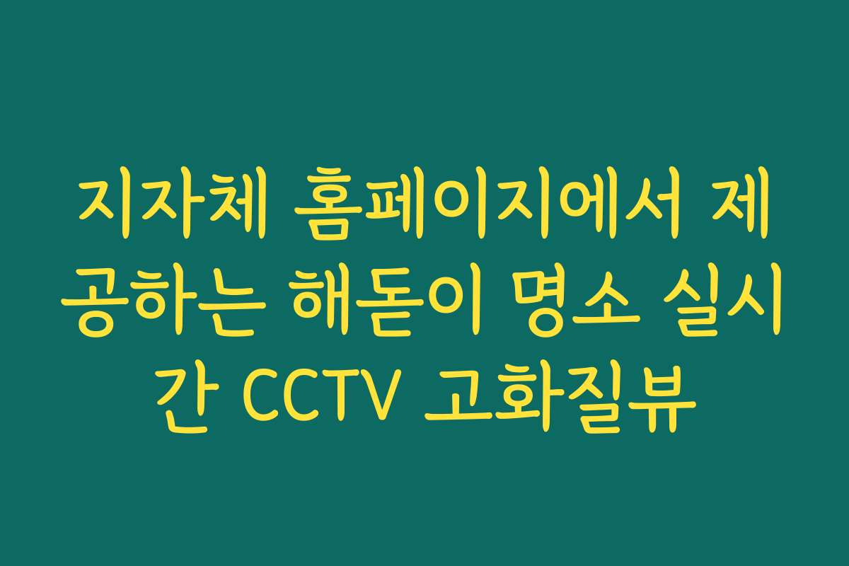 지자체 홈페이지에서 제공하는 해돋이 명소 실시간 CCTV 고화질뷰