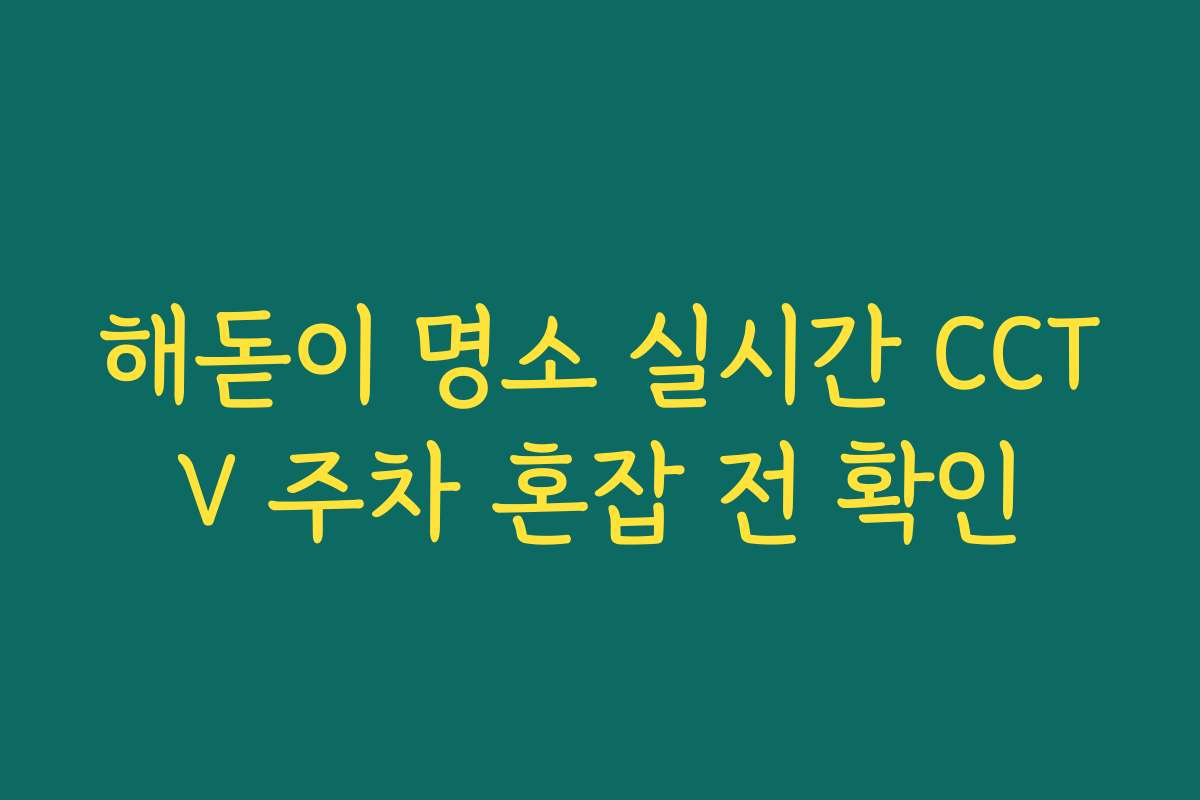 해돋이 명소 실시간 CCTV 주차 혼잡 전 확인