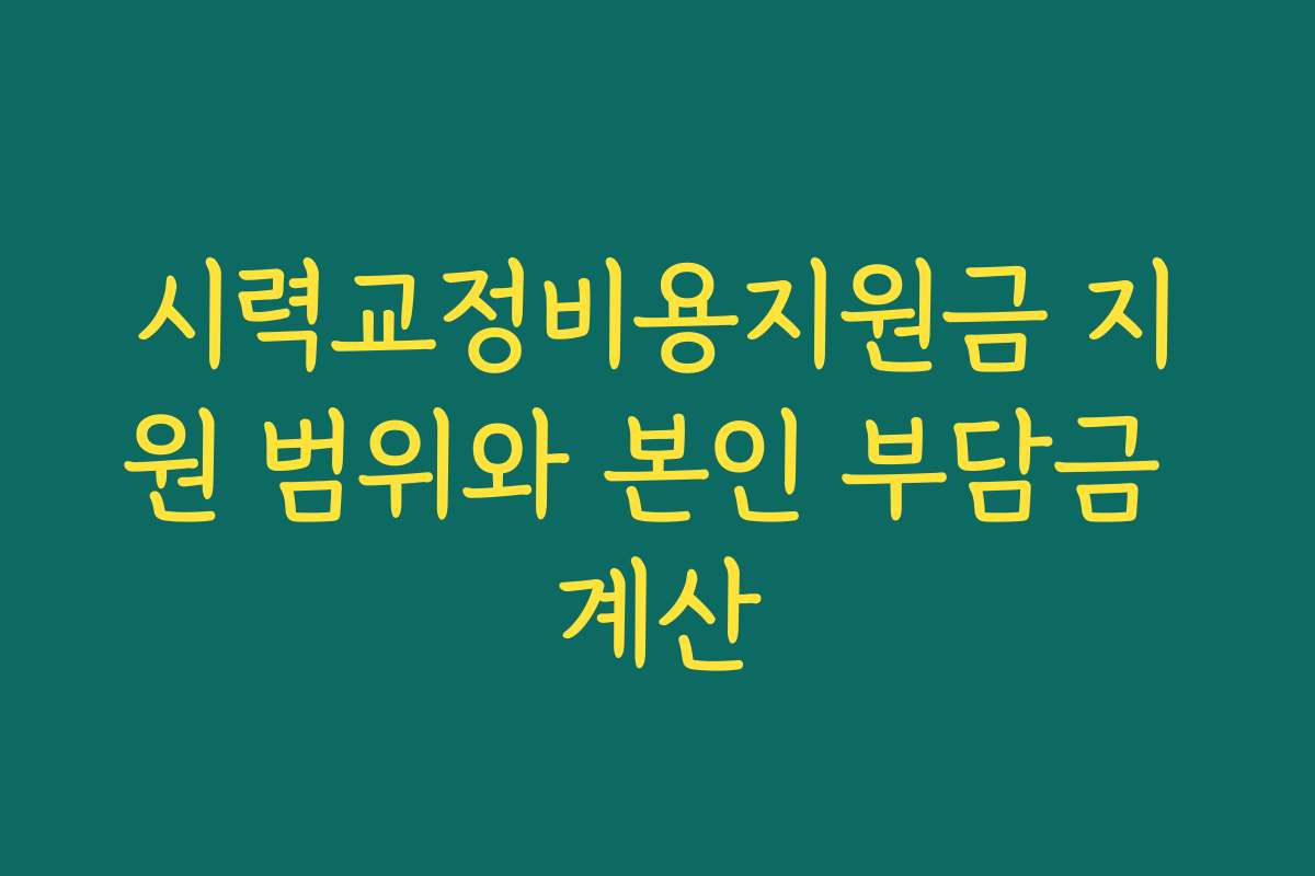 시력교정비용지원금 지원 범위와 본인 부담금 계산 시력교정비용지원금 지원 범위와 본인 부담금 계산
