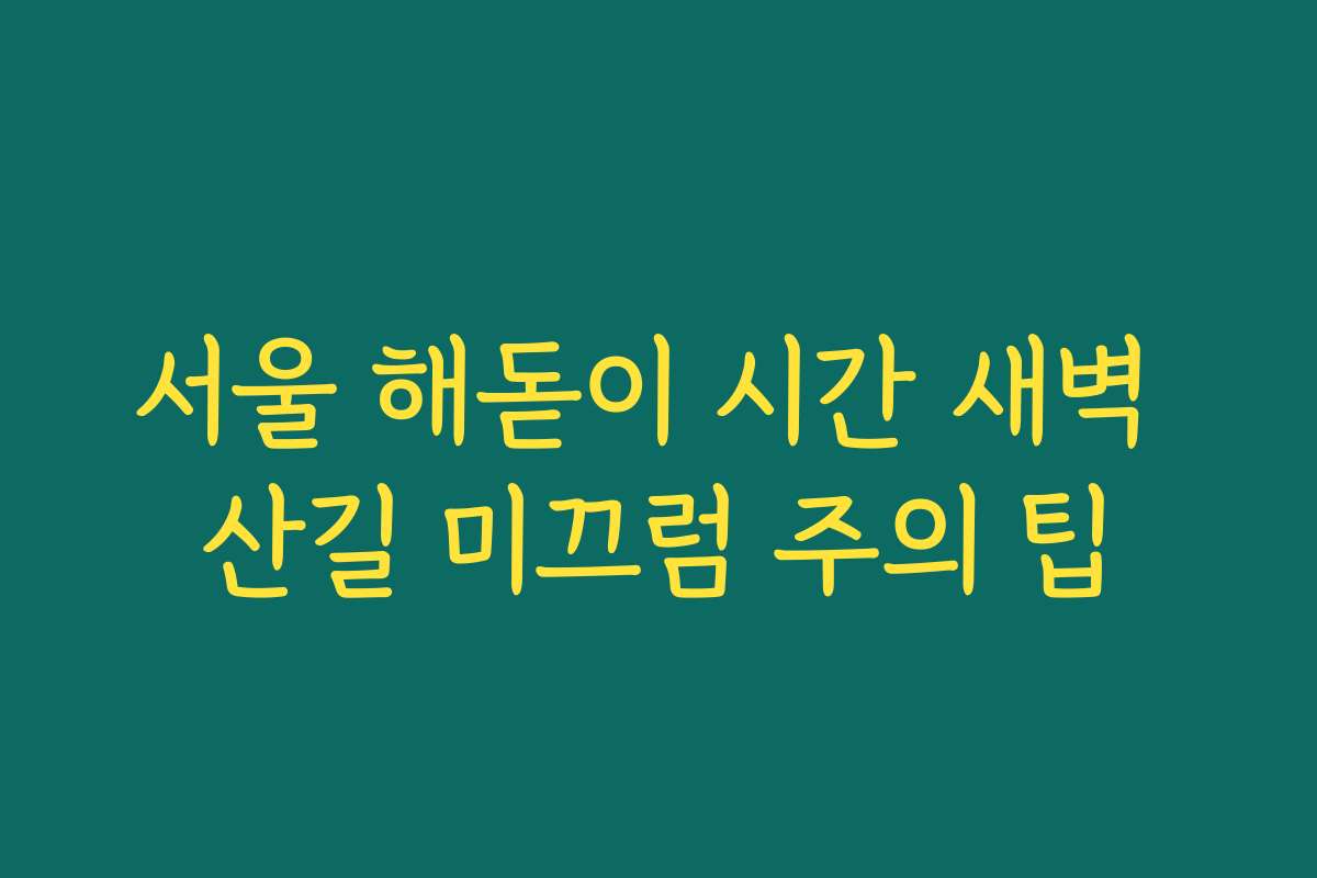 서울 해돋이 시간 새벽 산길 미끄럼 주의 팁 서울 해돋이 시간 새벽 산길 미끄럼 주의 팁