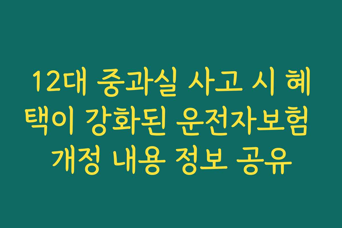 12대 중과실 사고 시 혜택이 강화된 운전자보험 개정 내용 정보 공유