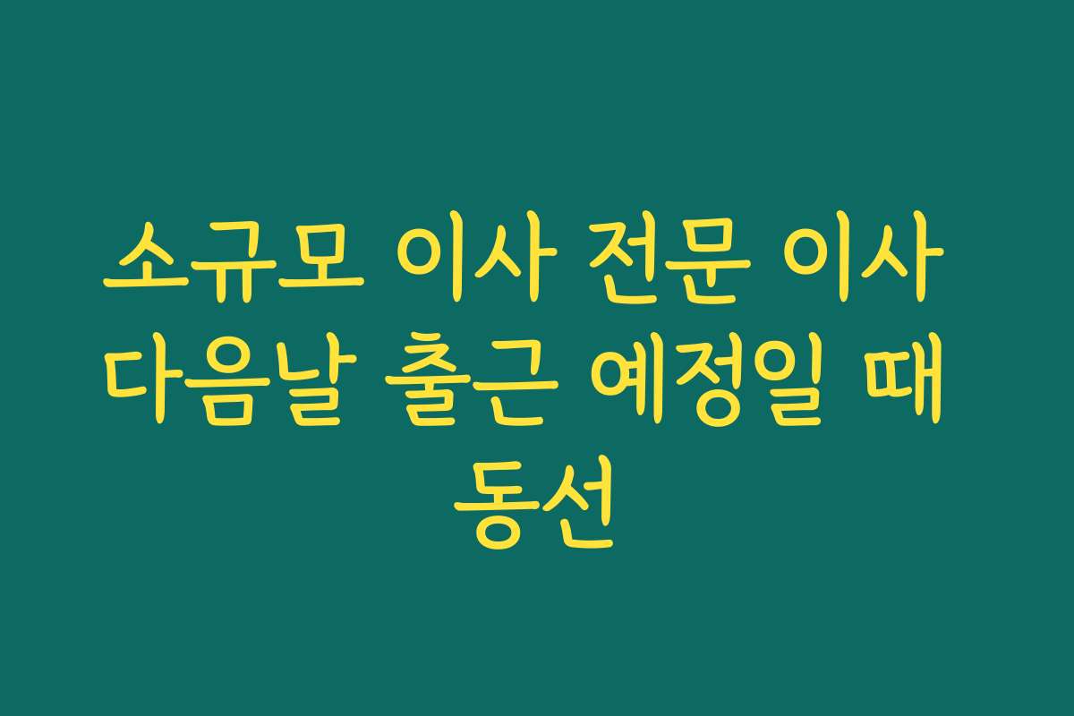 소규모 이사 전문 이사 다음날 출근 예정일 때 동선