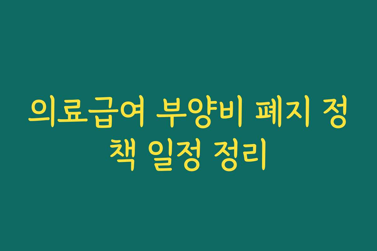 의료급여 부양비 폐지 정책 일정 정리